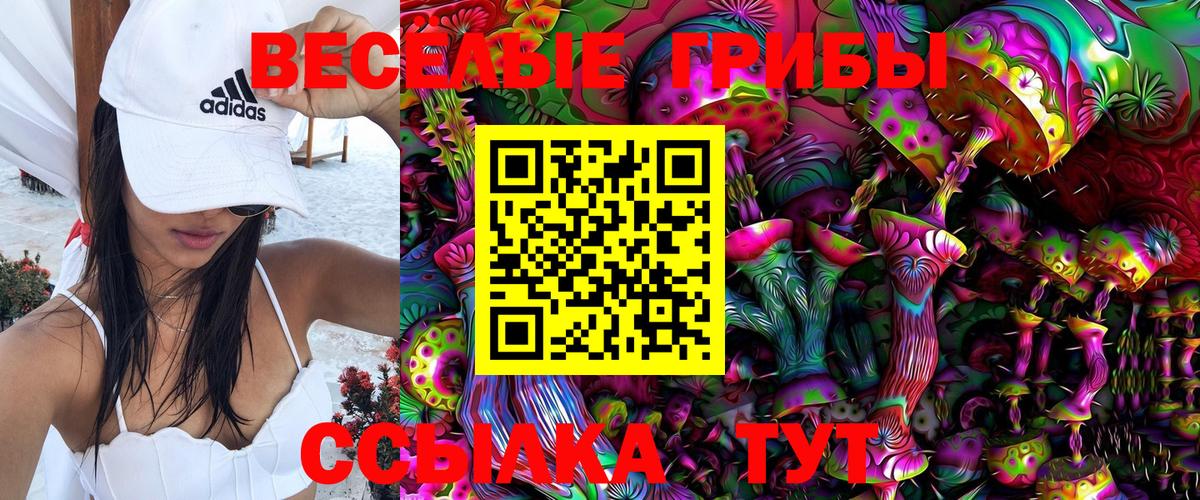 Галлюциногенные грибы Cubensis Унеча